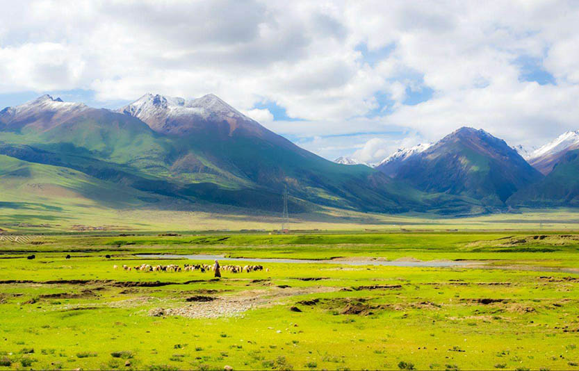 扒一扒：發(fā)電機組如何在高原上使用？