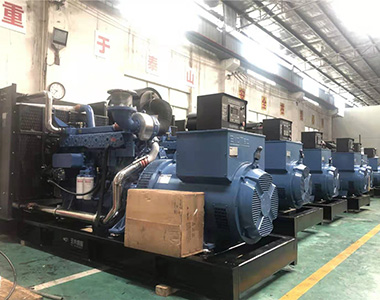 國(guó)內(nèi)某養(yǎng)殖項(xiàng)目指定批量采用德科500KW/400V陸用發(fā)電機(jī)