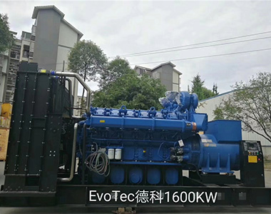 德科1600KW/400V陸用發(fā)電機應用于某工廠項目