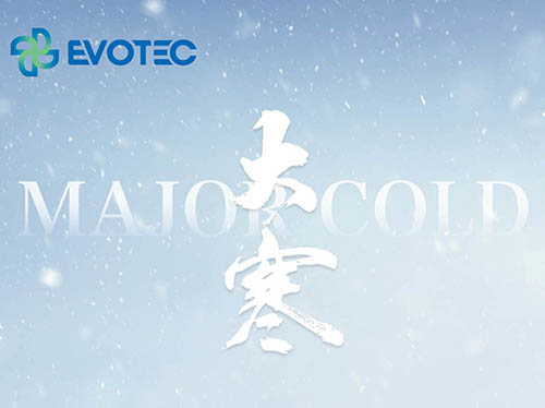 大寒迎雪至 歲末歸家時(shí) | 大寒