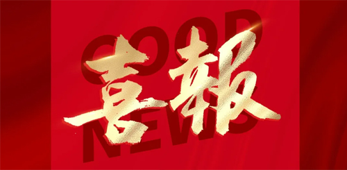 喜報(bào) | 熱烈祝賀德科電氣成功入選“中國(guó)電器行業(yè)領(lǐng)軍品牌”！
